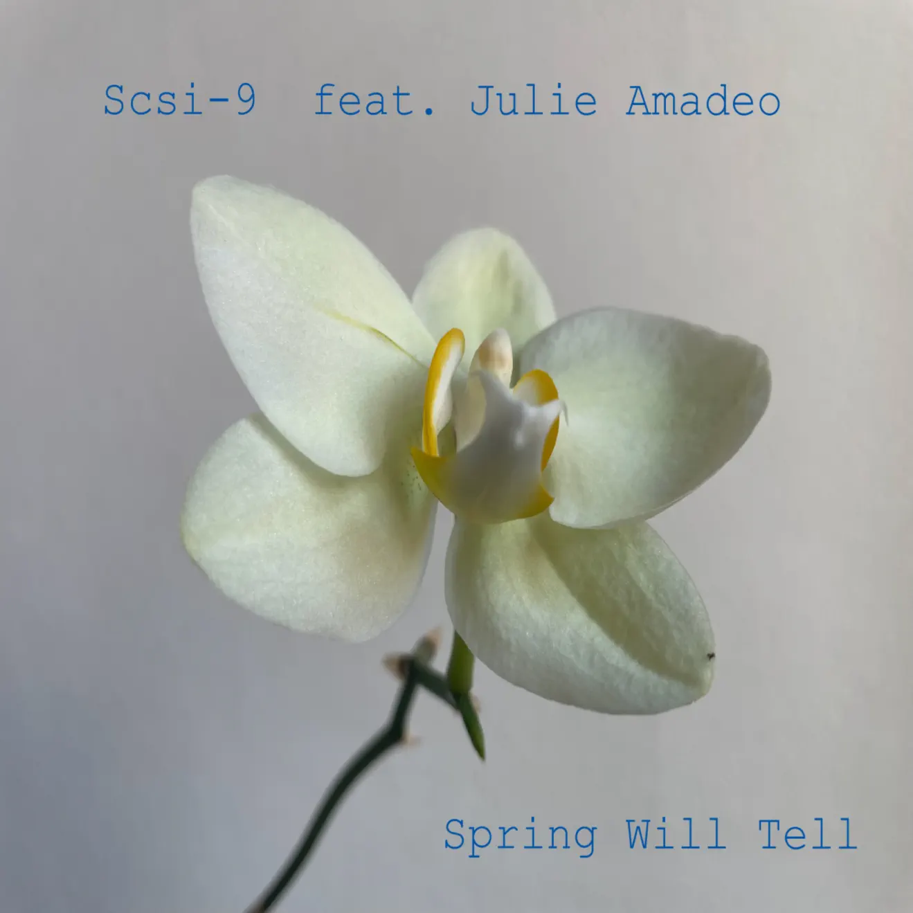 SCSI-9 – Spring Will Tell (2024 Rework) [feat. Julie Amadeo] – Single (2024) [iTunes Match M4A]