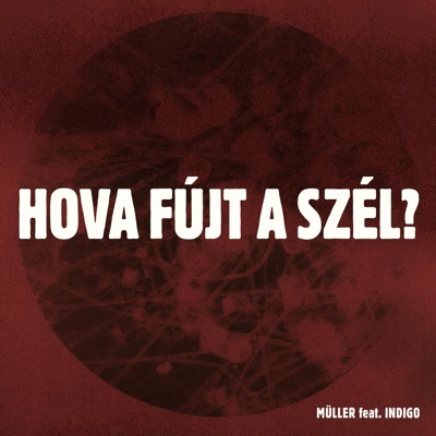 HOVA FÚJT A SZÉL? (feat. Indigo) - Single