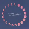 Under the moonlight