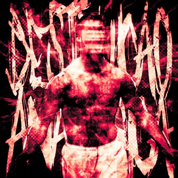 DESTRUIÇÃO ANALÓGICA - Single