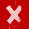 Zarbdar (Remix) - Single