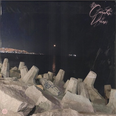 Cuantas Veces (feat. Barbier) - Single