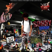 sorry (Chris Finesse Exclusives) (feat. Dxrop, DJ BRIEF & Partially Prescribed) - Single - Junkie Radio