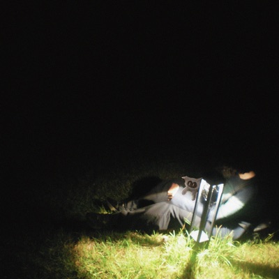 щенки видят больше - Single