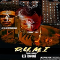 D.U.M.I (feat. NBF D1) - Single - Robbioso