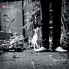 Hi-Hat Club, Vol. 6 - Haus & Garten