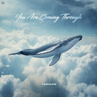 You Are Coming Through - Single - Toricos
