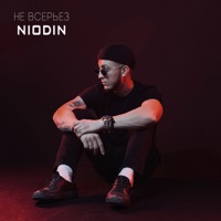 Не всерьёз - Single - NIODIN