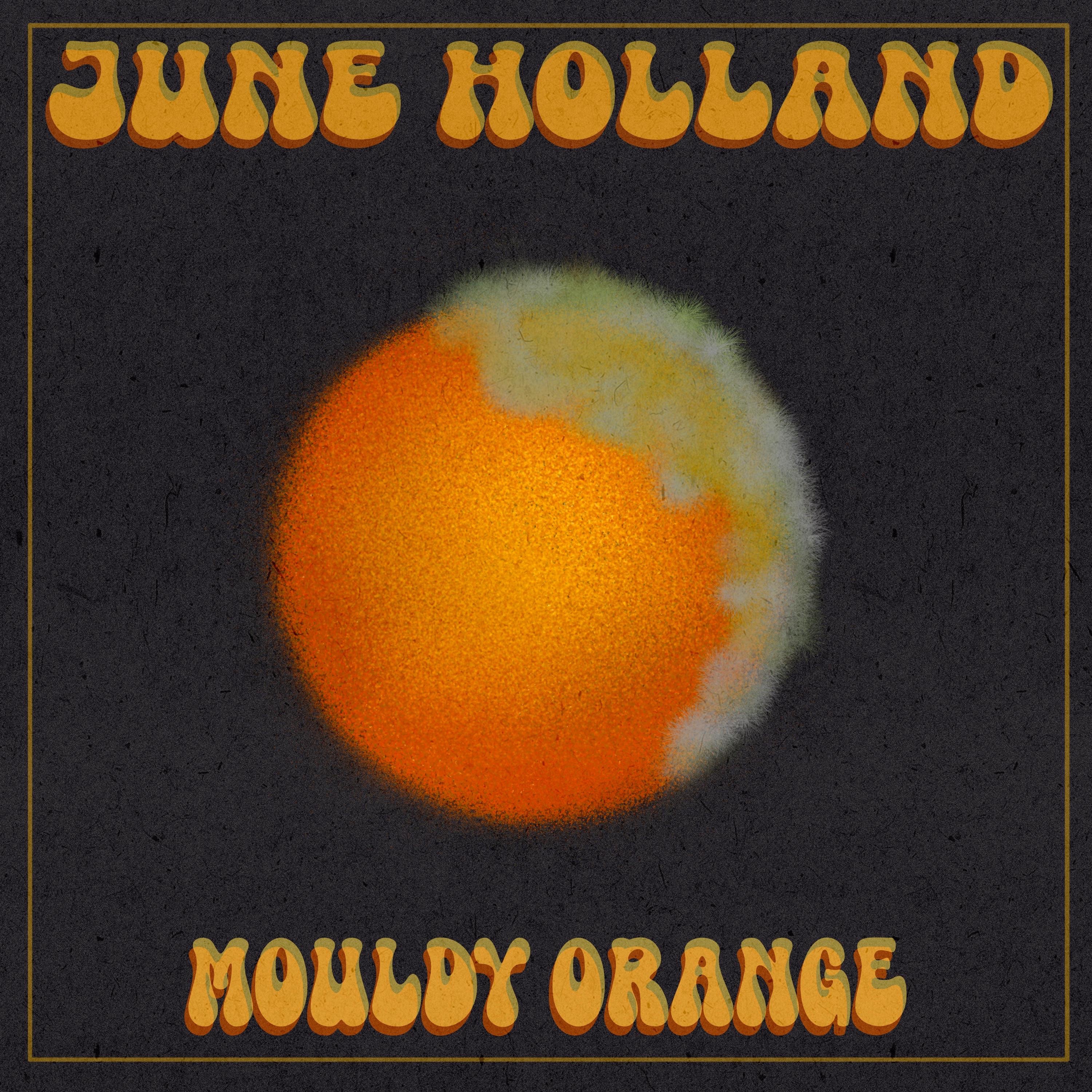 Mouldy Orange - Single