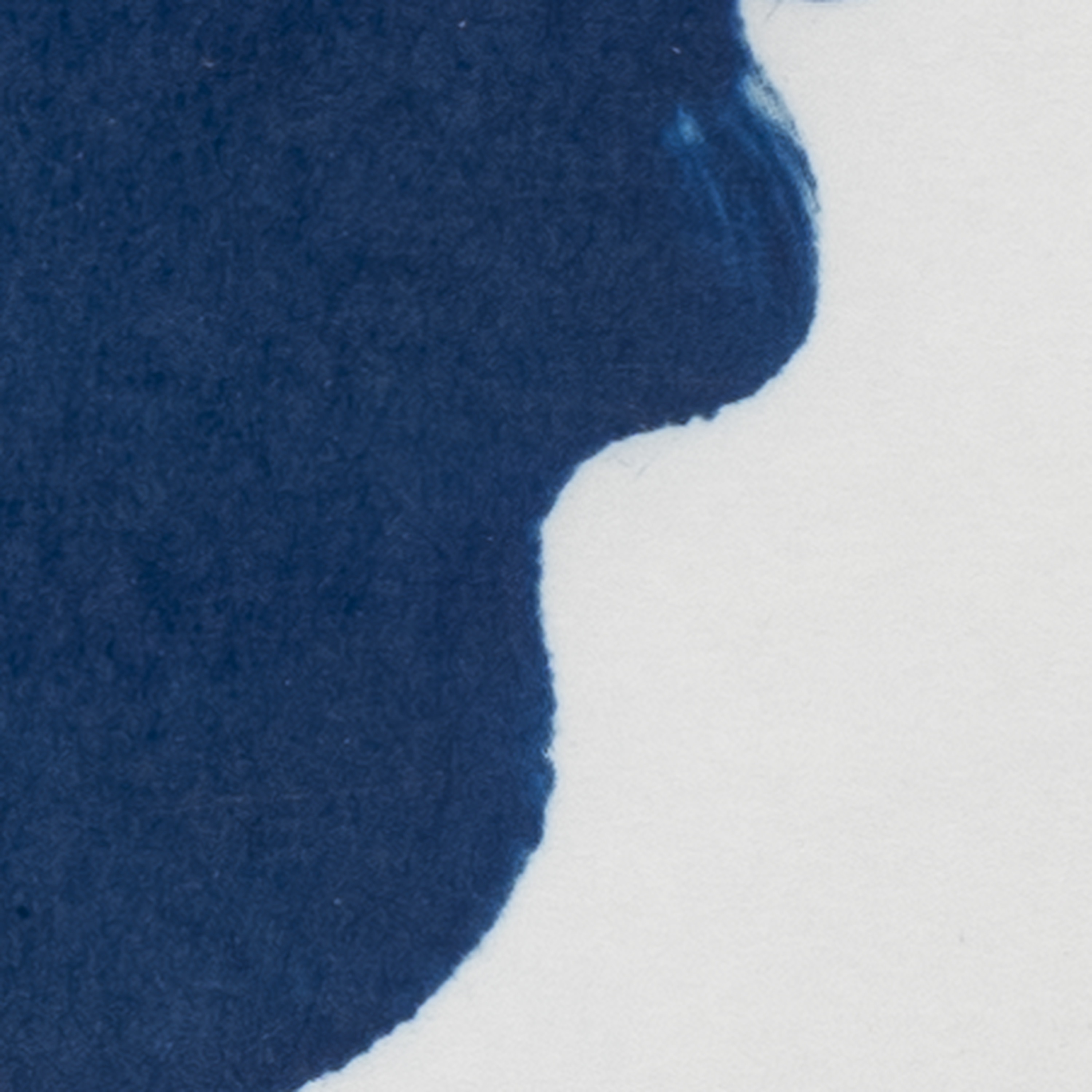 bluettes et bleuets - EP