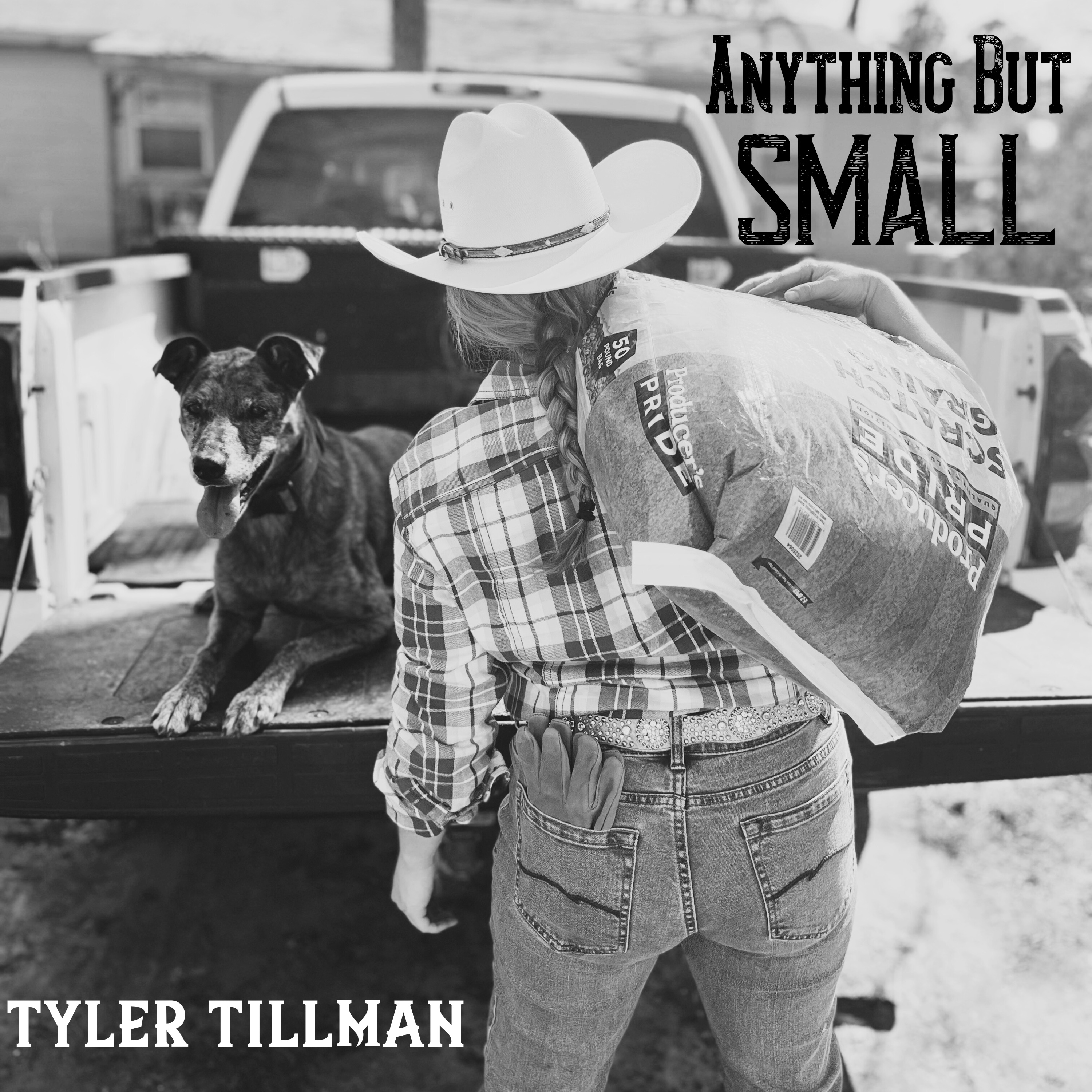 Anything But Small - Single