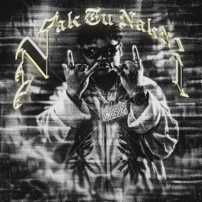 Nak Tu Nak Ni - Single