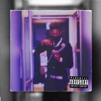 Alaska Freestyle - Single - Yvng Nelly