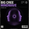 Mindwave - Single