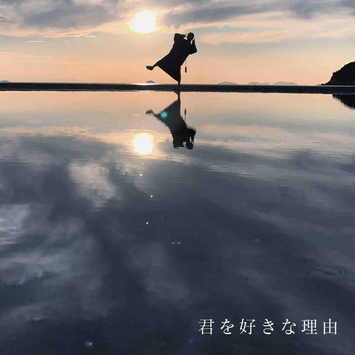 wacci - 君を好きな理由 - Single (2024) [iTunes Plus AAC M4A]-新房子