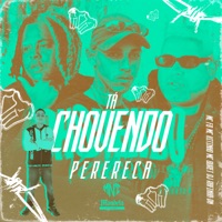 Tá Chovendo Perereca (feat. MC Buret, Mc Kitinho & MC FB) - Single - DJ RAFINHA DN