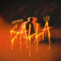 Salla - Single - Zoermod