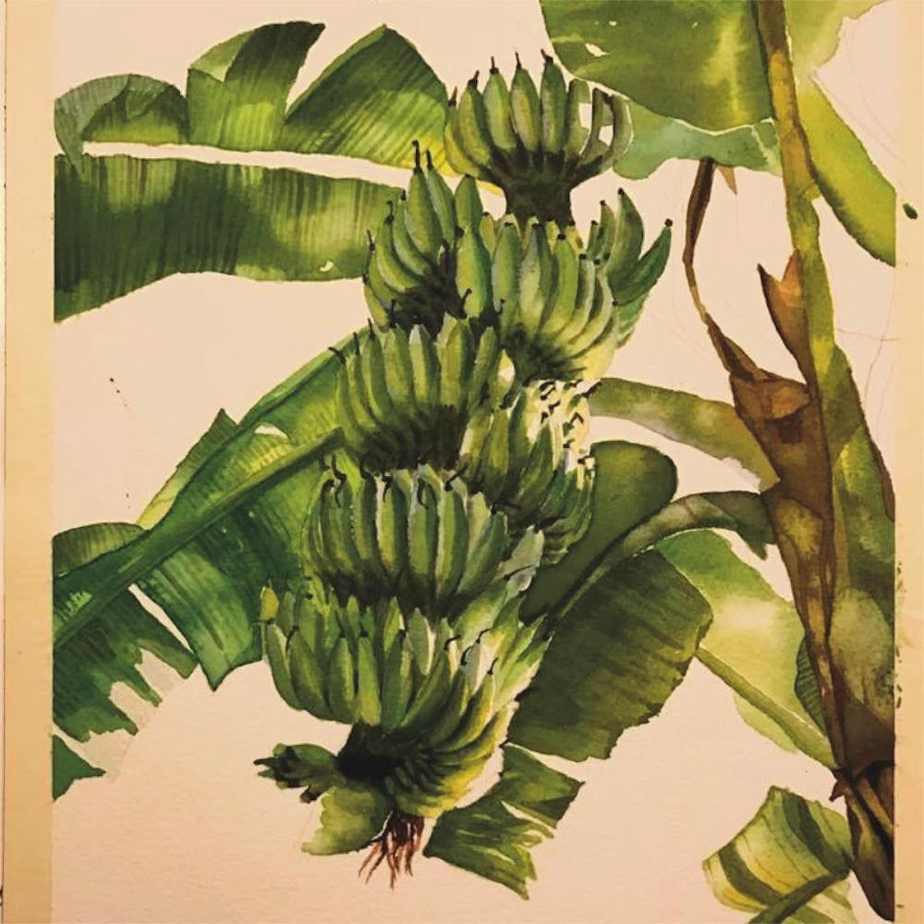 Bailarina / Areia - Single