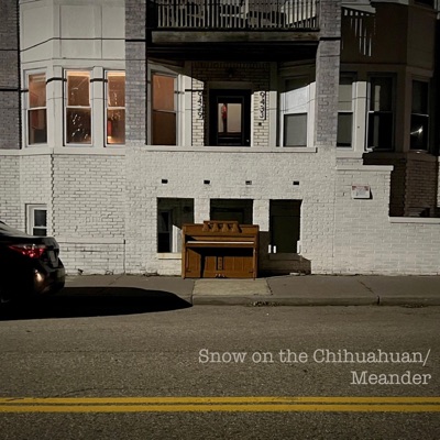 Snow on The Chihuahuan/Meander - Single