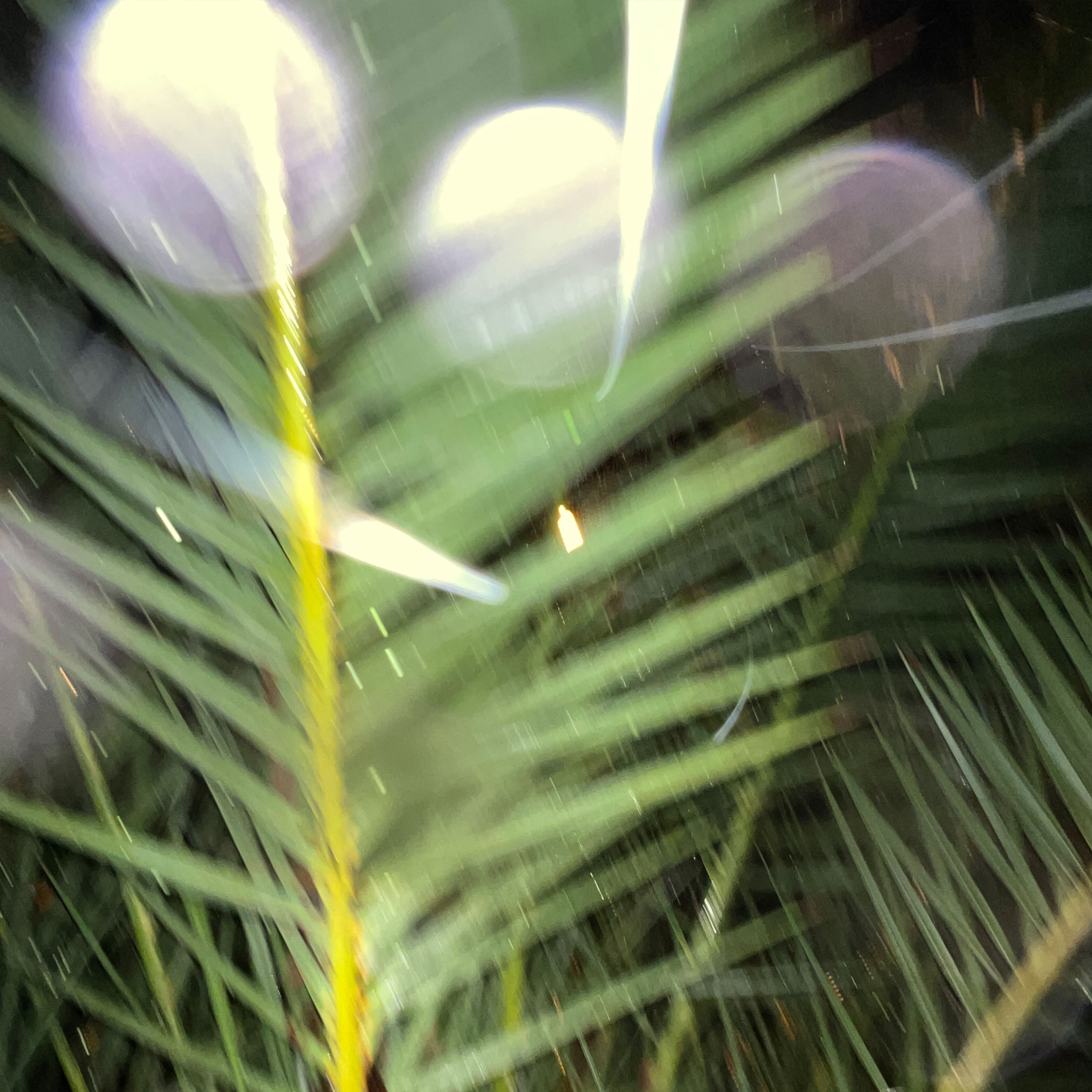 Better Than I Was - Single