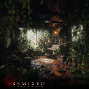 Connect (Semilocybe Remix)