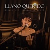 Llano Querido - Single