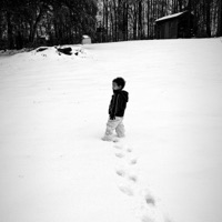 Tender (feat. DKoolpharaoh) - Single - ALX3