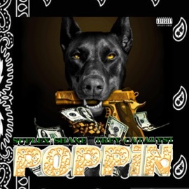 Poppin (feat. Trey Catalyst) Su-FLEX SHANE