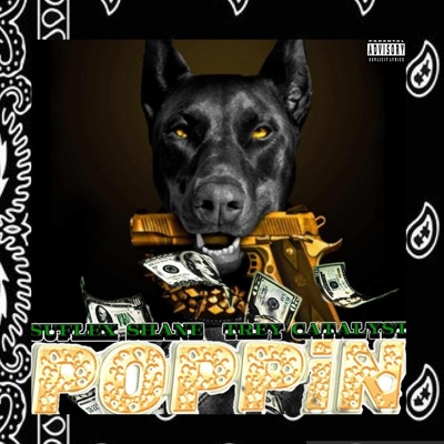 Poppin (feat. Trey Catalyst) - Single