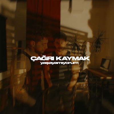 Yaşayamıyorum - Single