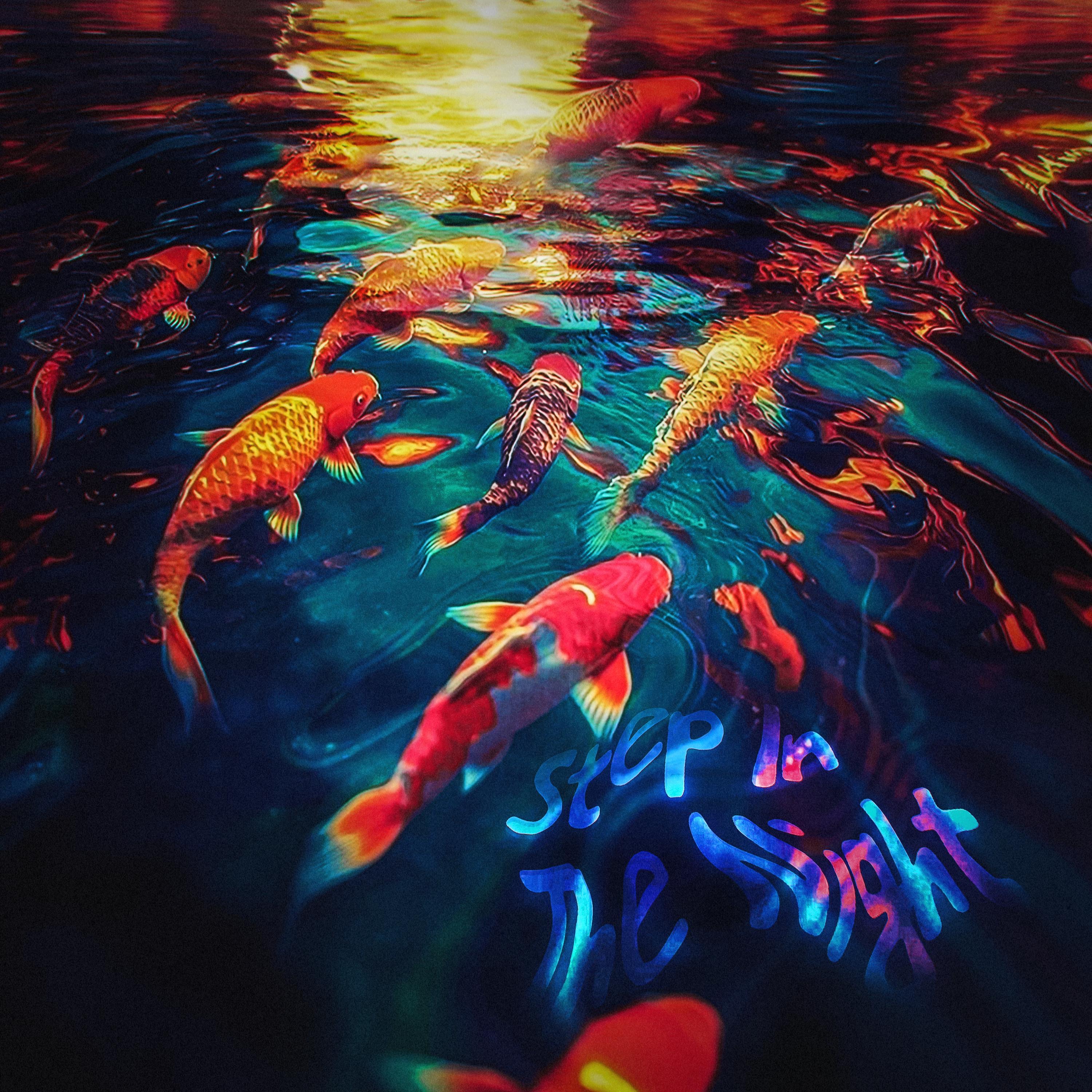 Step In The Night - Single