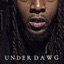 UNDER DAWG (feat. Dozier) - Single