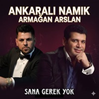 Sana Gerek Yok (feat. Armağan Arslan) - Single - Ankaralı Namık