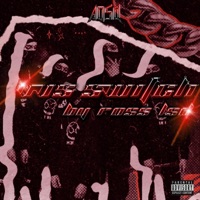 VVS SWITCH LSD VERSIO - Single - Ross_LSD