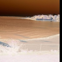 Album cover for Frank Ocean by Sergio DeChiara