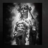Elevation - Single - Overdope