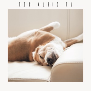 Calming Music To Soothe Dogs