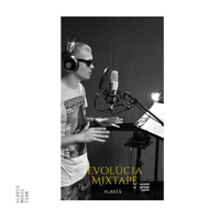 Evolúcia (Mixtape) - Vladis