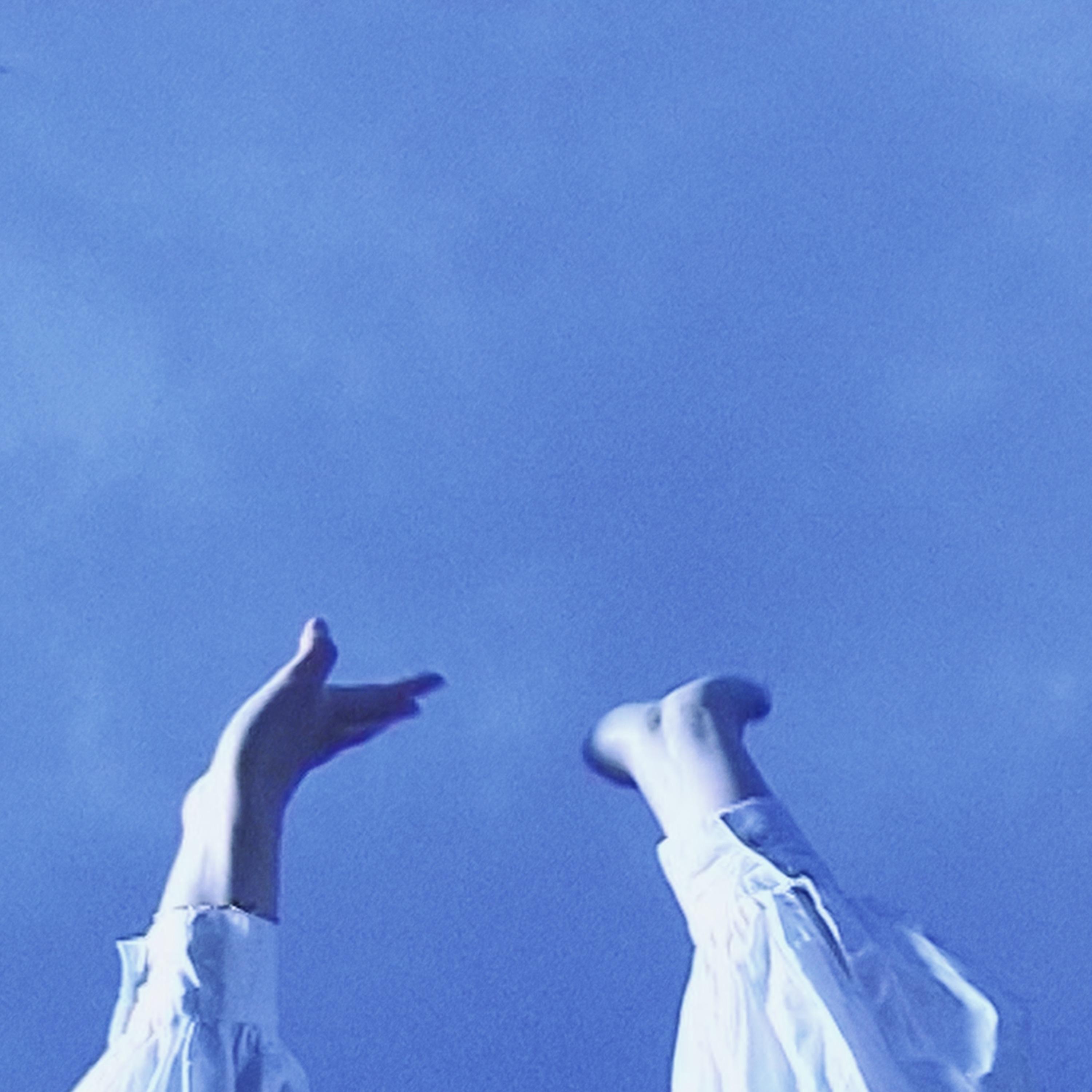 The End - Single
