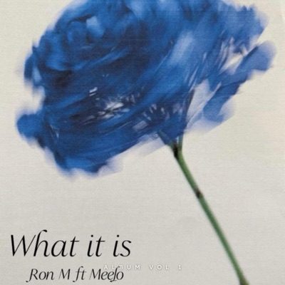 What it is (feat. Meelo) - Single