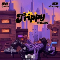 Trippy - Single - FlexyChase