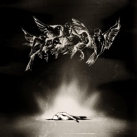 REDSPARROW (second edition) - Single - Vrabec