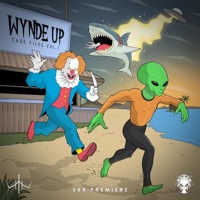 Case Files, Vol. 1 - Single - Wynde Up