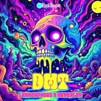 DMT - Single - Lekkerfaces & Revealer