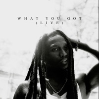 What You Got (Live) - Single - Quail P