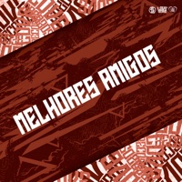Melhores Amigos (feat. DJ FV) - Single - DJ BRN, MC NINA & Mc Bobii