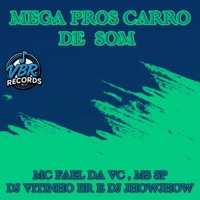 MEGA PROS CARRO DE SOM - Single - DJ Vitinho BR, DJ JHOW JHOW, MC Fael Da VC & MS SP