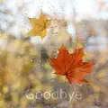 Goodbye