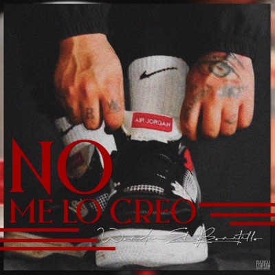 No me lo creo - Single