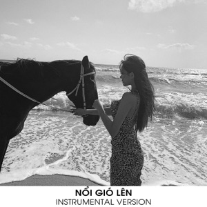 NỔI GIÓ LÊN (Instrumental Version)
